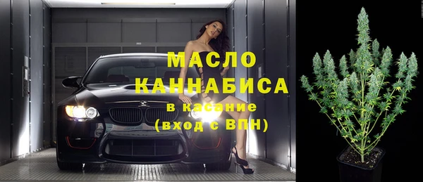 индика Абаза