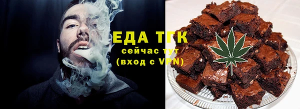 индика Абаза