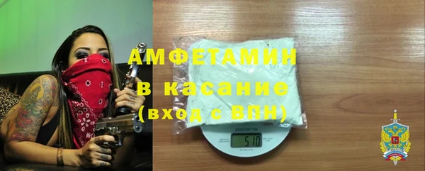 индика Абаза