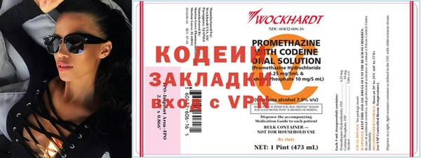 индика Абаза