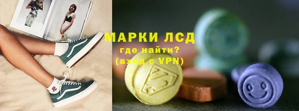 индика Абаза