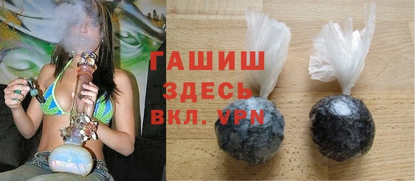 индика Абаза
