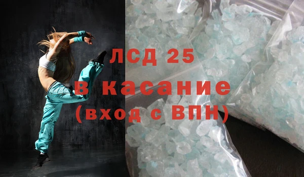 индика Абаза