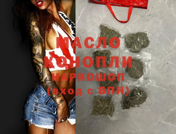 индика Абаза