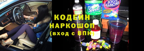 индика Абаза
