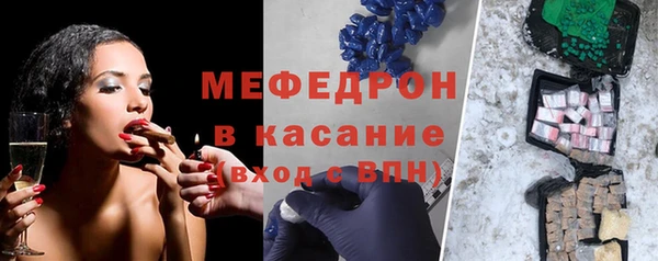индика Абаза