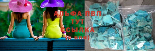 индика Абаза