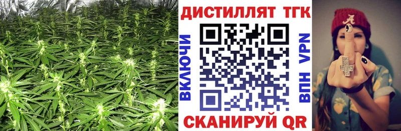 Дистиллят ТГК концентрат  где продают наркотики  Адыгейск 